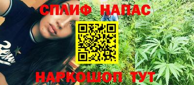 spice Кунгур