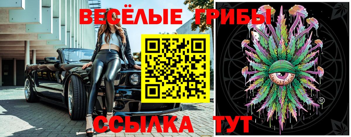 Волжск  Галлюциногенные грибы прущие грибы  Вход с VPN  Псилоцибиновые грибы мухоморы 